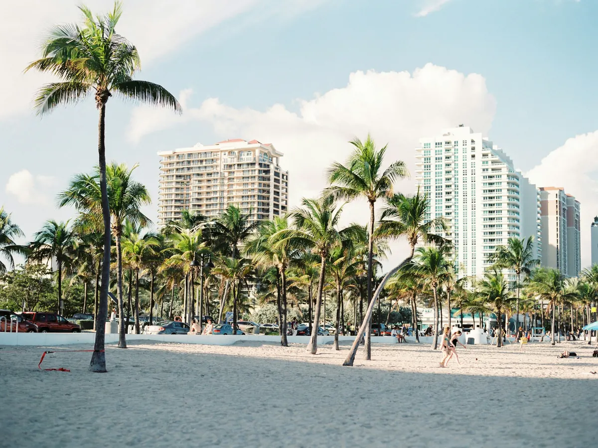 Palm trees and high-rise apartments along a Florida beach